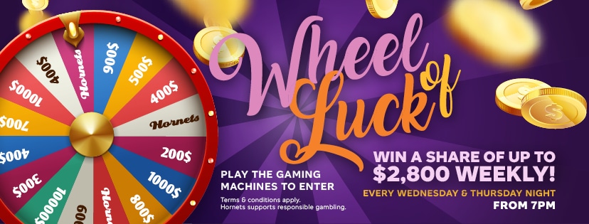 Ho0181800 Wheel Of Luck Fb Cover